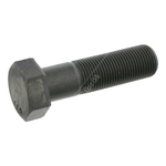 Crankshaft Screw | Febi Bilstein 17230