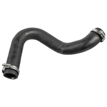 Febi Bilstein Charger Intake Hose With Clamps (175705)