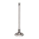 Febi Bilstein Exhaust Valve (1005025)