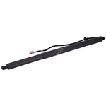 Febi Bilstein Gas Spring For Tailgate (194339) Fits: Ford