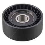 Febi Bilstein Idler Pulley (196131)