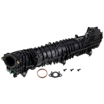 Febi Bilstein Intake Manifold (182611) Fits: BMW 