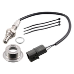 Febi Bilstein Lambda Oxygen Sensor (179570) Fits: Hyundai & Kia 