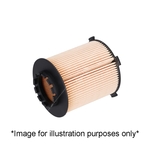 Febi Bilstein Oil Filter (196160) Fits: Ford