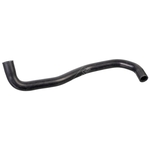 Febi Bilstein Radiator Hose (178464) Fits: Nissan 