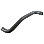 Febi Bilstein Radiator Hose (192781) Fits: Nissan Lower