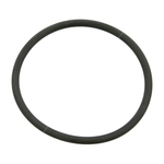 Febi Bilstein King Pin Sealing Ring (04319)