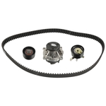 Febi Bilstein Timing Belt Kit with Water Pump (173254)