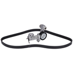 Febi Bilstein V-ribbed Auxiliary Belt Kit (187696) Fits: Volvo 