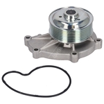 Febi Bilstein Water Pump (196491) Fits: Subaru 