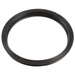 Febi Gasket - For Fuel Pump (107969)