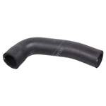 Febi Radiator Hose (104069)