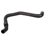 Febi Radiator Hose (170979)