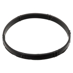 Febi Sealing Ring - For Throttle Body (106506)