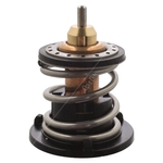 Febi Thermostat (109338)