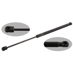 Gas Spring / Gas Strut | Febi Bilstein 31946