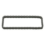 Oil Pump Chain | Febi Bilstein 25171