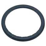 Oil Seal | Febi Bilstein 02095