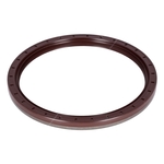 Oil Seal | Febi Bilstein 29875