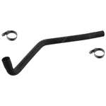 Radiator Hose & Clips | Febi Bilstein 49105