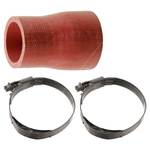 Radiator Hose & Clips | Febi Bilstein 49119