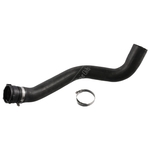 Radiator Hose & Clips | Febi Bilstein 49136