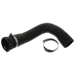 Radiator Hose & Clips | Febi Bilstein 49138