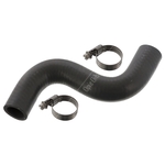 Radiator Hose & Clips | Febi Bilstein 49148