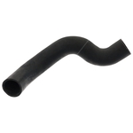 Radiator Hose | Febi Bilstein 101066