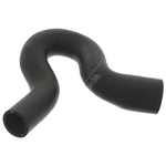 Radiator Hose | Febi Bilstein 101210