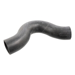 Radiator Hose | Febi Bilstein 12760