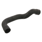 Radiator Hose | Febi Bilstein 37131