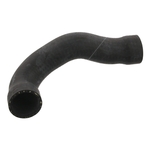 Radiator Hose | Febi Bilstein 37135