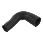 Radiator Hose | Febi Bilstein 38965