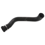 Radiator Hose | Febi Bilstein 49182