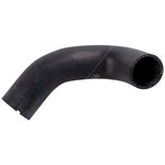 Radiator Hose | Febi Bilstein 49677