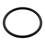 Seal Ring (Fits: Mercedes Benz) | Febi Bilstein 100077
