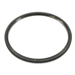 Starter Ring Gear | Febi Bilstein 09831