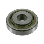 Strut Top Bearing | Febi Bilstein 21757