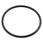 Thermostat O-Ring (Fits: Mercedes Benz) | Febi Bilstein 10258