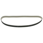 Timing Belt | Febi Bilstein 26198