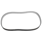 Timing Belt | Febi Bilstein 31725