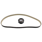 Timing Belt Kit | Febi Bilstein 21238