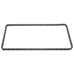 Timing Chain | Febi Bilstein 46743
