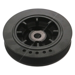 Torsional Vibration Damper Crankshaft Pulley | Febi Bilstein 24933