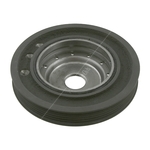 Torsional Vibration Damper Crankshaft Pulley | Febi Bilstein 24935