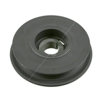 Torsional Vibration Damper Crankshaft Pulley | Febi Bilstein 27215