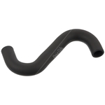 Ventilation Hose | Febi Bilstein 17810