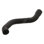 Ventilation Hose | Febi Bilstein 33851