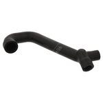 Ventilation Hose | Febi Bilstein 33854